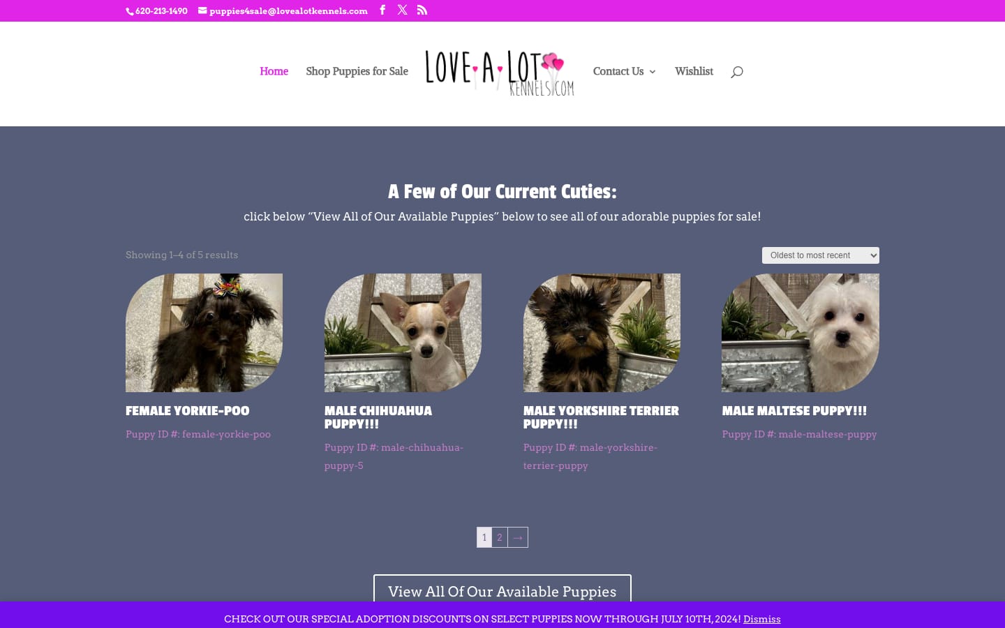 Love A Lot Kennels website homepage